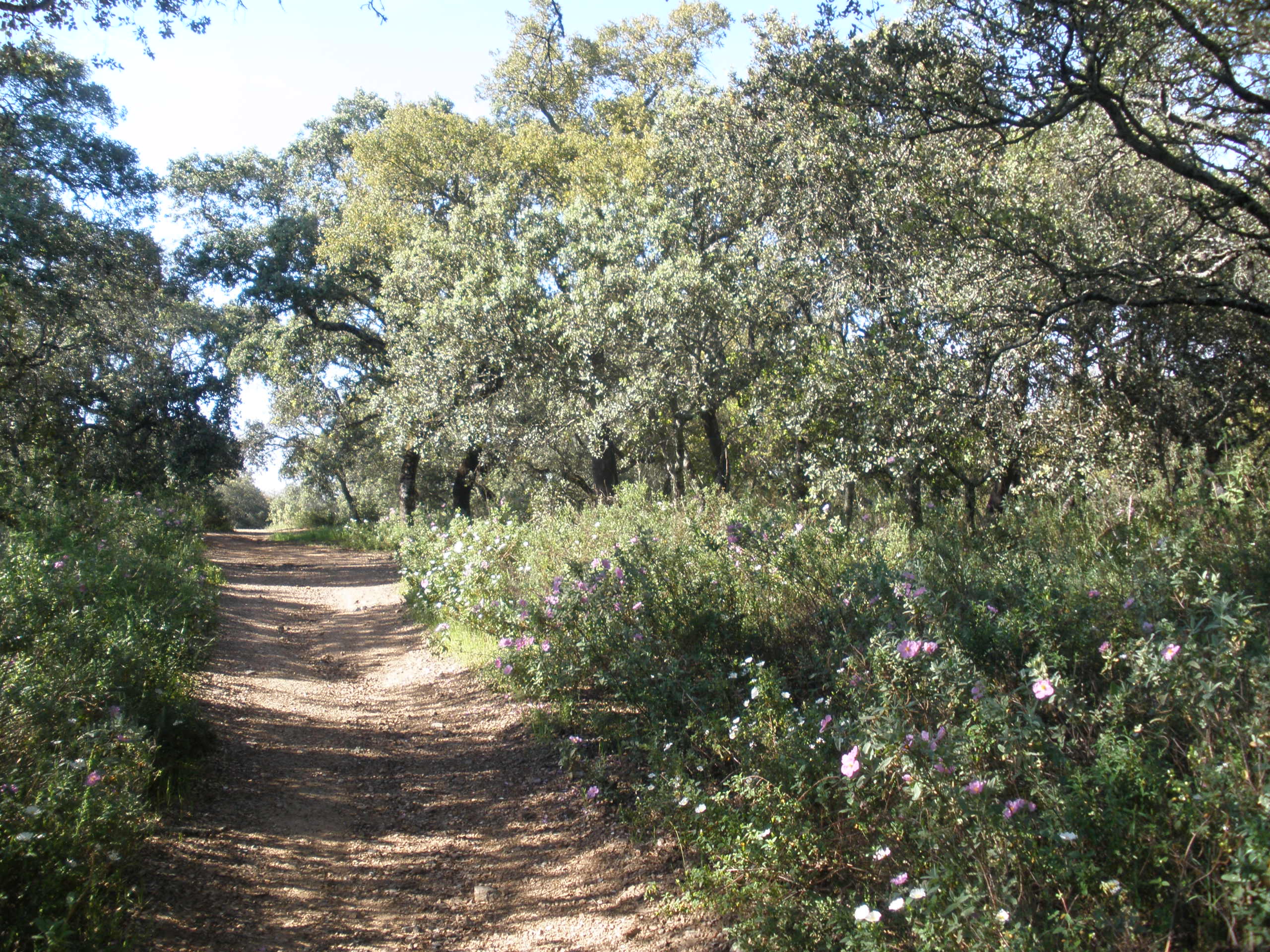 P4290001