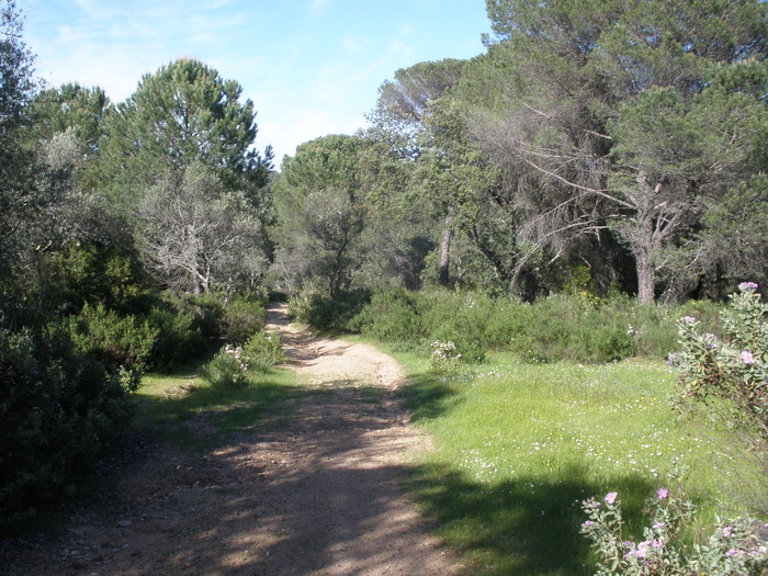 P4290002_resize