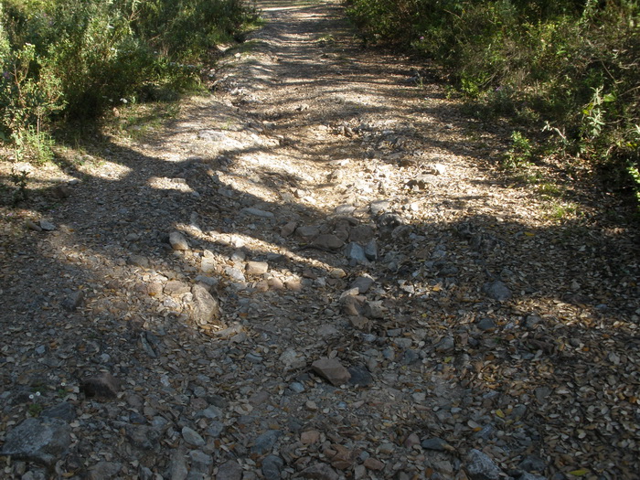 P4290003_resize