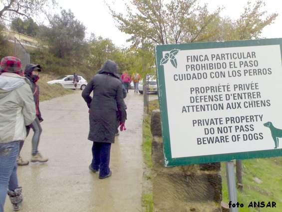 bataras0