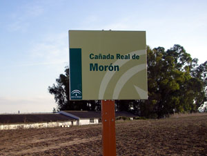 canarrealmoroncartel