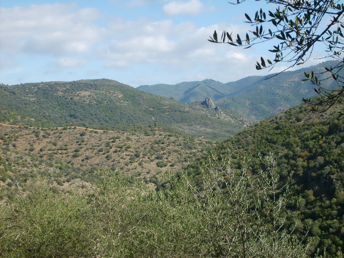 GUADIATO03