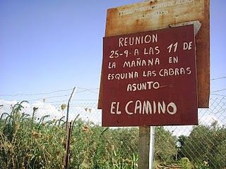 PIC_0011