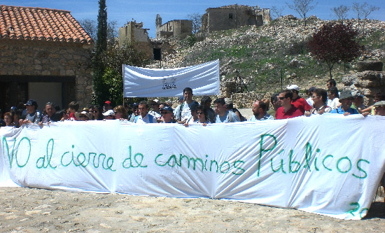 palositos2