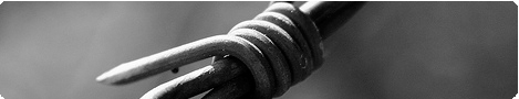 An Image Slideshow