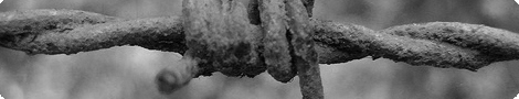 An Image Slideshow