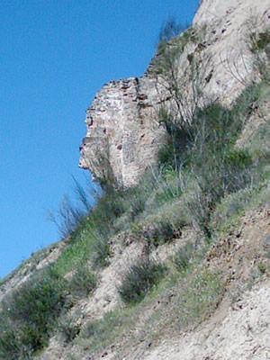 calatalifa