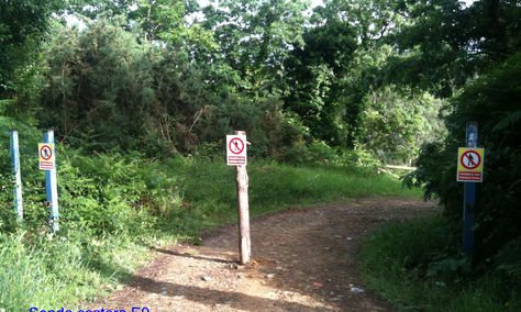 camino-cortado-COORDINADORA-ECOLOXISTA_ASTIMA20110531_0119_6